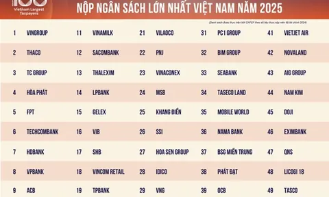 Top 50 doanh nghiệp tư nhân nộp ngân sách lớn nhất Việt Nam