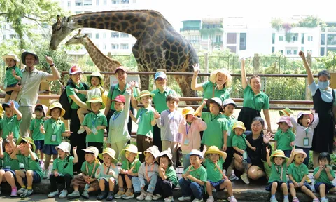 Wisdomland World School trở thành thành viên của cộng đồng Eco-Schools toàn cầu