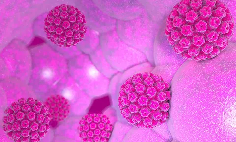 Những điều về HPV ở nam và nữ giới có thể bạn chưa biết?