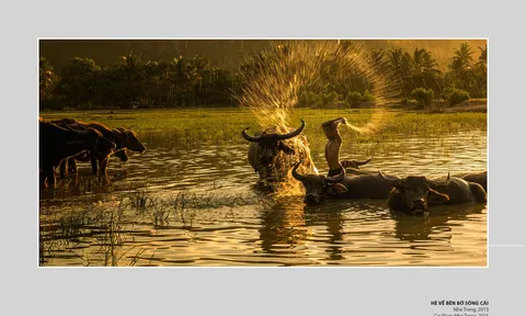 Cuộc thi Ảnh Di sản Việt Nam-Vietnam Heritage Photo Awards 2025: “Chạm di sản, cảm chất riêng”
