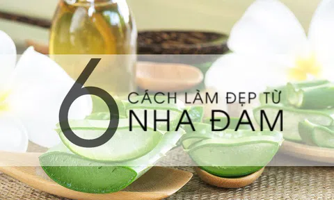 Nha đam có tốt cho da mặt! Những cách bạn thường dùng là gì?