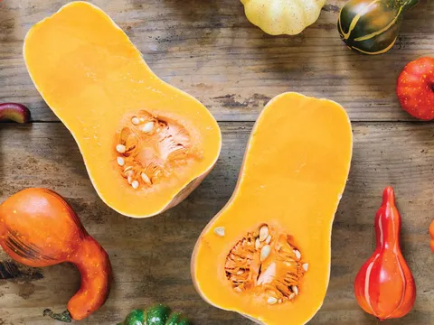 Ăn bí đỏ thường xuyên giúp giảm cân và tăng khả năng thụ thai