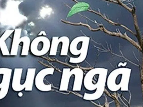 Sách đã “chữa lành” tôi thế nào?