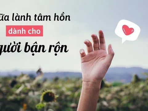 Top 5 dòng sách chữa lành đang được ưa chuộng