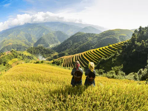 Thung lũng Nậm Cang lại vào mùa đẹp nhất trong năm!