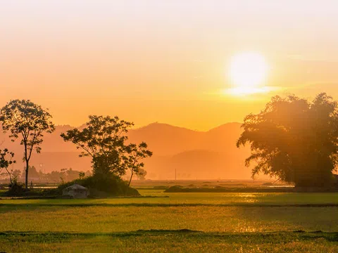 ‘Về làng’ - Cái tôi nặng lòng với quê hương, xứ sở