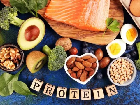 Những thực phẩm chứa nhiều protein nhất