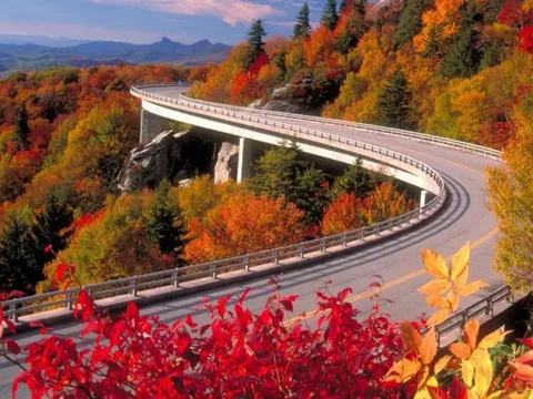 Những con đường đẹp trên thế giới khi thu về