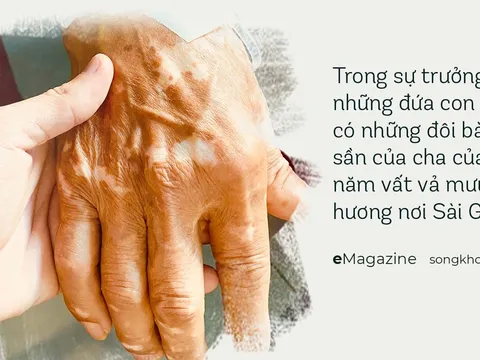 Ơn nghĩa sinh thành, phận làm con đã làm được gì cho cha mẹ?