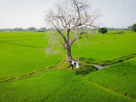 Đến núi Bà Đen Tây Ninh linh thiêng "săn" ảnh đẹp tựa thiên đường