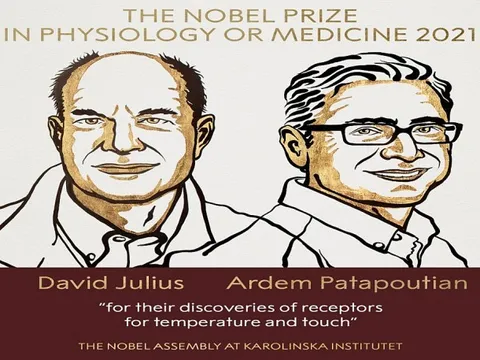 Giải Nobel Y học 2021 vinh danh 2 nhà sinh học người Mỹ về cơ chế thụ cảm nhiệt độ và xúc giác