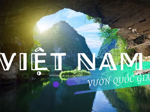 The Culture Trip giới thiệu 10 vườn quốc gia đẹp nhất Việt Nam đến bạn bè thế giới