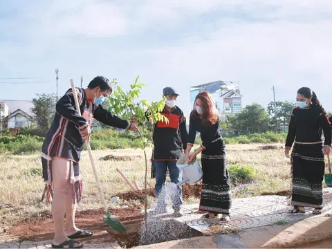 Đô thị đầu tiên tại Việt Nam 5 năm liên tục tổ chức Tết trồng cây