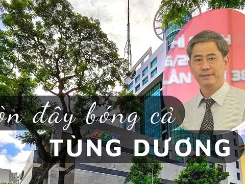 Còn đây bóng cả Tùng Dương!