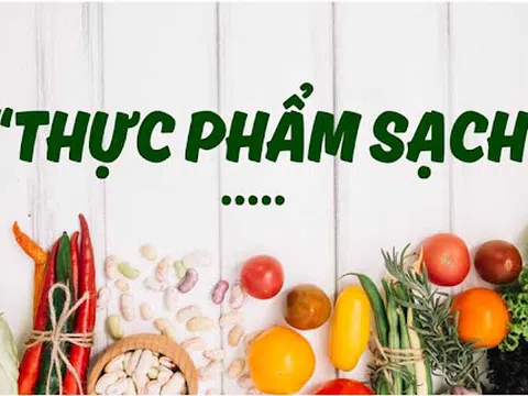 10 thực phẩm hứa hẹn thay đổi sức khỏe hoàn toàn vào năm 2024