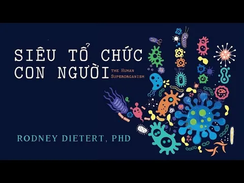 Siêu tổ chức con người