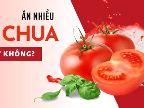 Vì sao nên ăn cà chua? Ăn cà chua sống hay nấu chín sẽ tốt hơn?