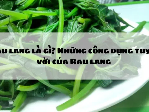 Rau lang phòng ngừa và điều trị nhiều bệnh, nhất là xương khớp và tiểu đường