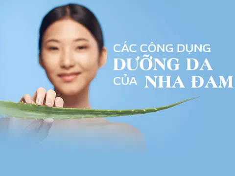 Loại lá quen thuộc được coi là "thần dược" cứu làn da mà chẳng mấy người thử