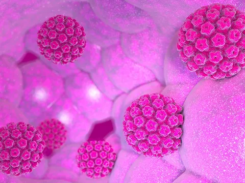 Những điều về HPV ở nam và nữ giới có thể bạn chưa biết?