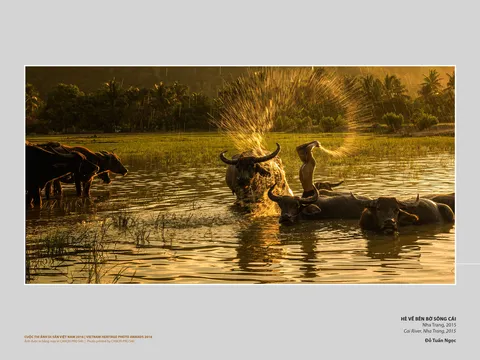 Cuộc thi Ảnh Di sản Việt Nam-Vietnam Heritage Photo Awards 2025: “Chạm di sản, cảm chất riêng”