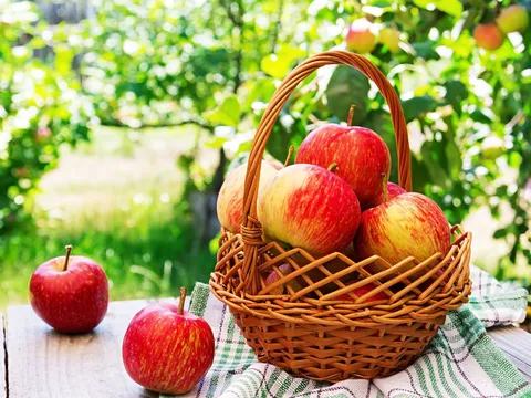 8 lợi ích sức khỏe ấn tượng của táo