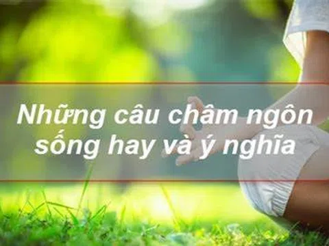 Mỗi ngày một châm ngôn sống - cùng ngẫm suy để thay đổi bản thân