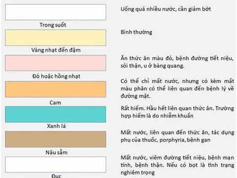 8 dấu hiệu bất thường của nước tiểu mà bạn nên lưu ý