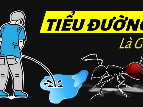 10 lời khuyên về chế độ ăn uống cho bệnh nhân tiểu đường