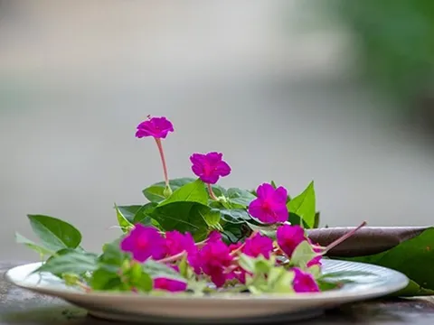 Hoa phấn - Bí kíp làm đẹp độc đáo của cung nữ triều Nguyễn ít người biết