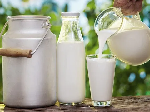 Bảo quản sữa tươi, sữa chua không đúng cách sẽ gây nguy hại đến sức khỏe
