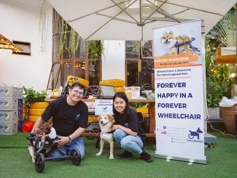 Sài Gòn: Những chú chó mèo khuyết tật "hồi sinh" bên cặp vợ Việt chồng Tây chuyên sản xuất xe lăn cho thú cưng