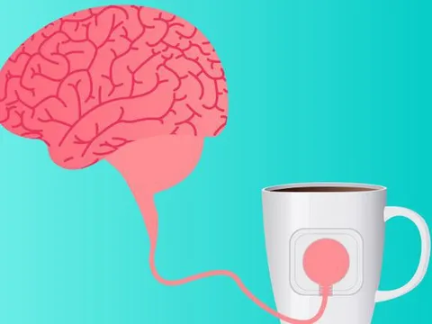 Caffeine và bộ não của bạn