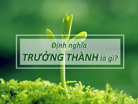 Hiểu như thế nào cho đúng về Trưởng Thành? Nó đáng giá bao nhiêu?