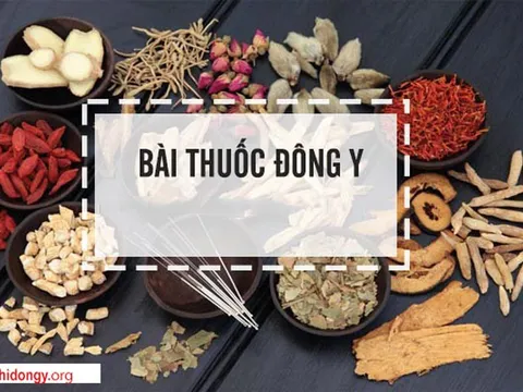 Sử dụng thuốc bổ Đông y như thế nào mang lại hiệu quả?