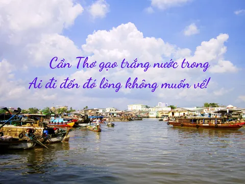 Thử một lần về miền “gạo trắng nước trong” để đi chợ nổi Cái Răng!